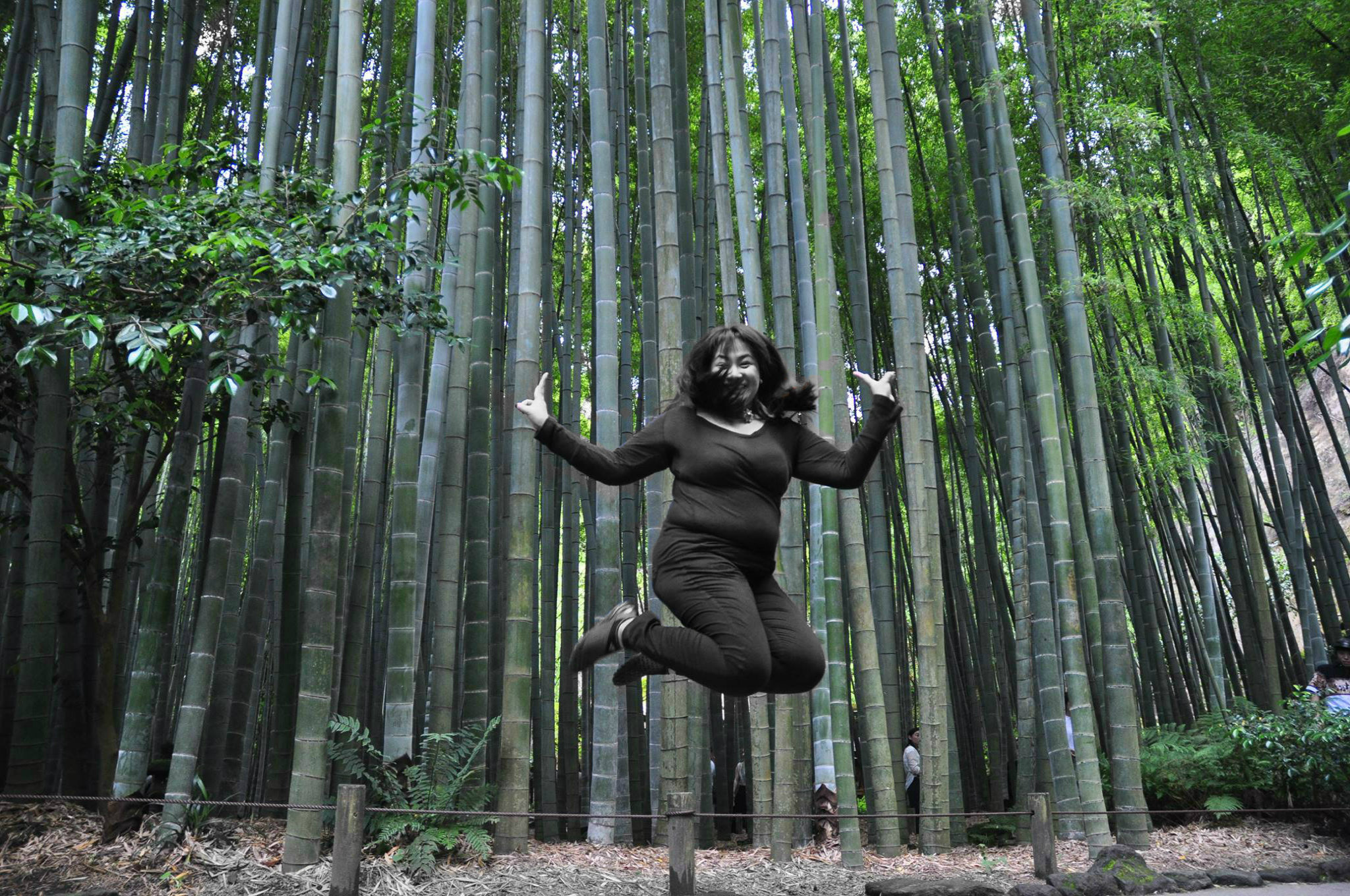 Bamboo garden Jump shot